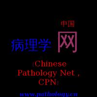 中国病理学网