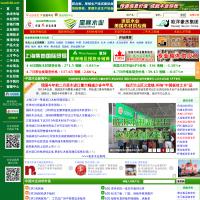中国木业信息网